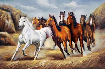 Horses 024